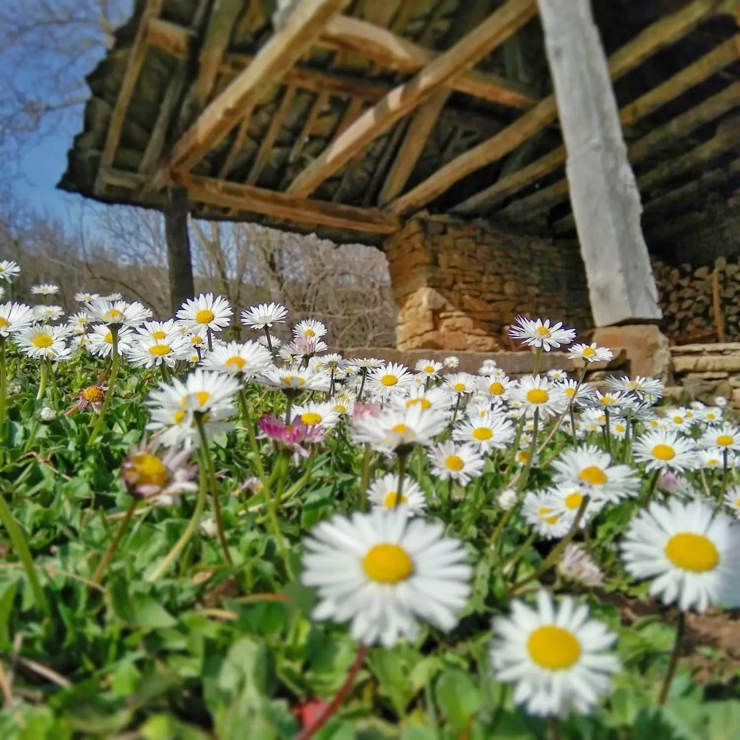 Authentic House With Stunning Mountain View - Karashka Villa Apriltsi  Exteriör bild