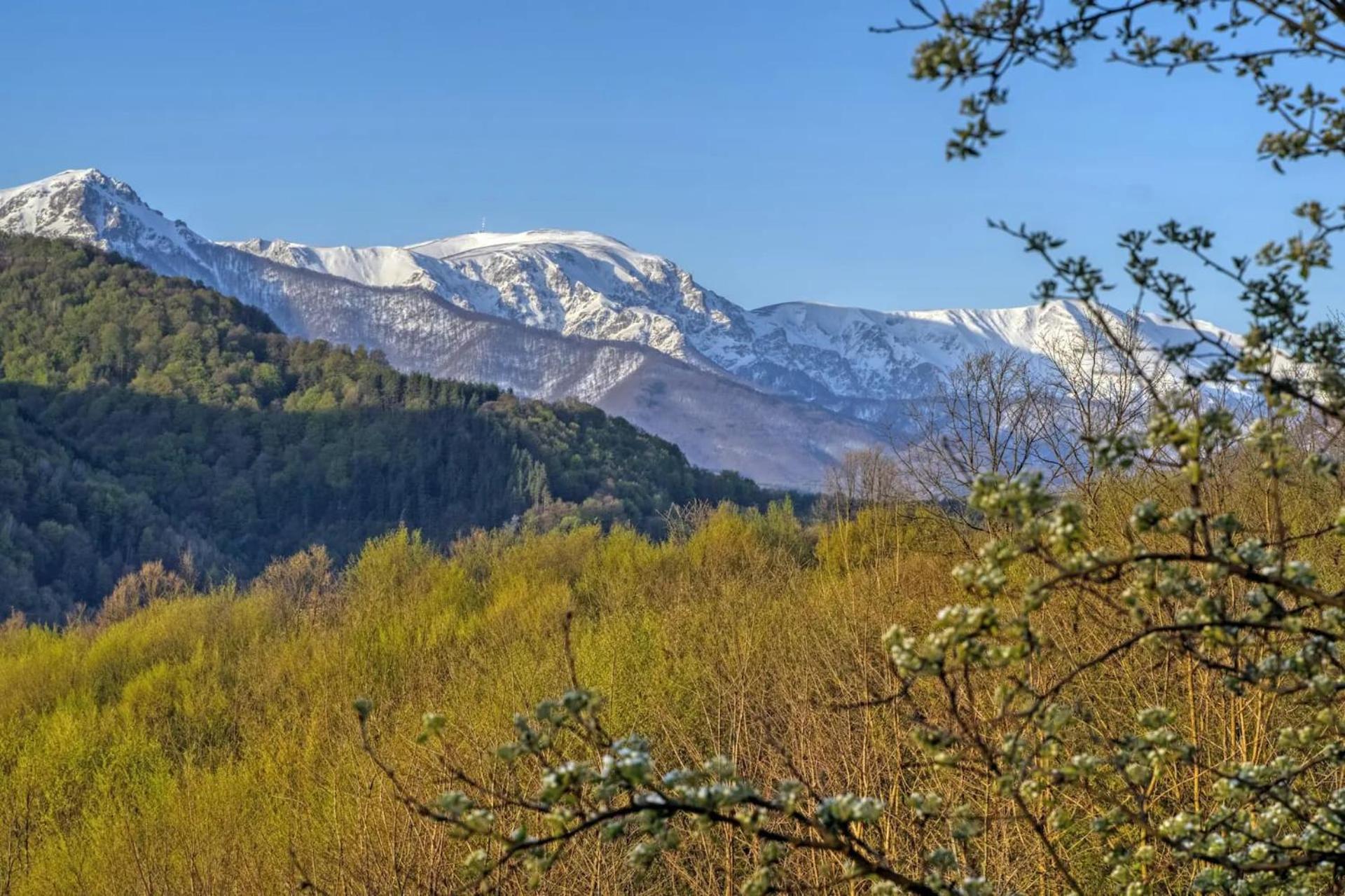 Authentic House With Stunning Mountain View - Karashka Villa Apriltsi  Exteriör bild